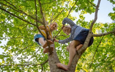 Movement Is the Missing Link in Learning